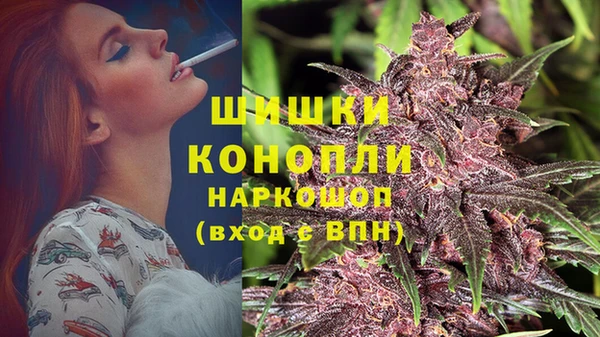 ПСИЛОЦИБИНОВЫЕ ГРИБЫ Баксан