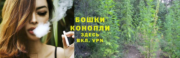 ПСИЛОЦИБИНОВЫЕ ГРИБЫ Баксан
