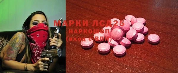 ПСИЛОЦИБИНОВЫЕ ГРИБЫ Баксан