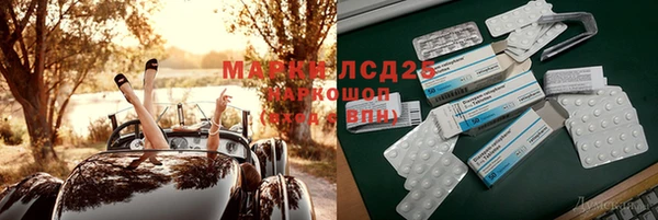 ПСИЛОЦИБИНОВЫЕ ГРИБЫ Баксан